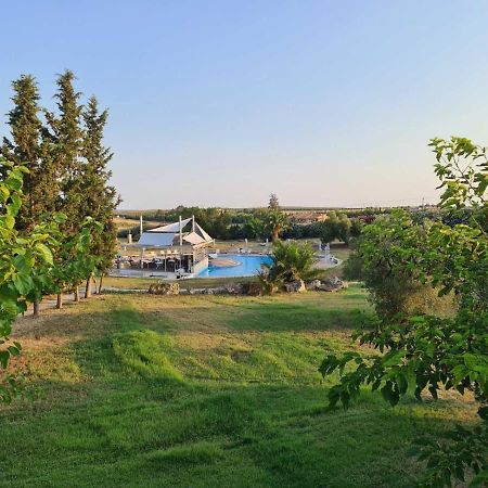 Janis Seaview Villa Néa Fókaia Esterno foto