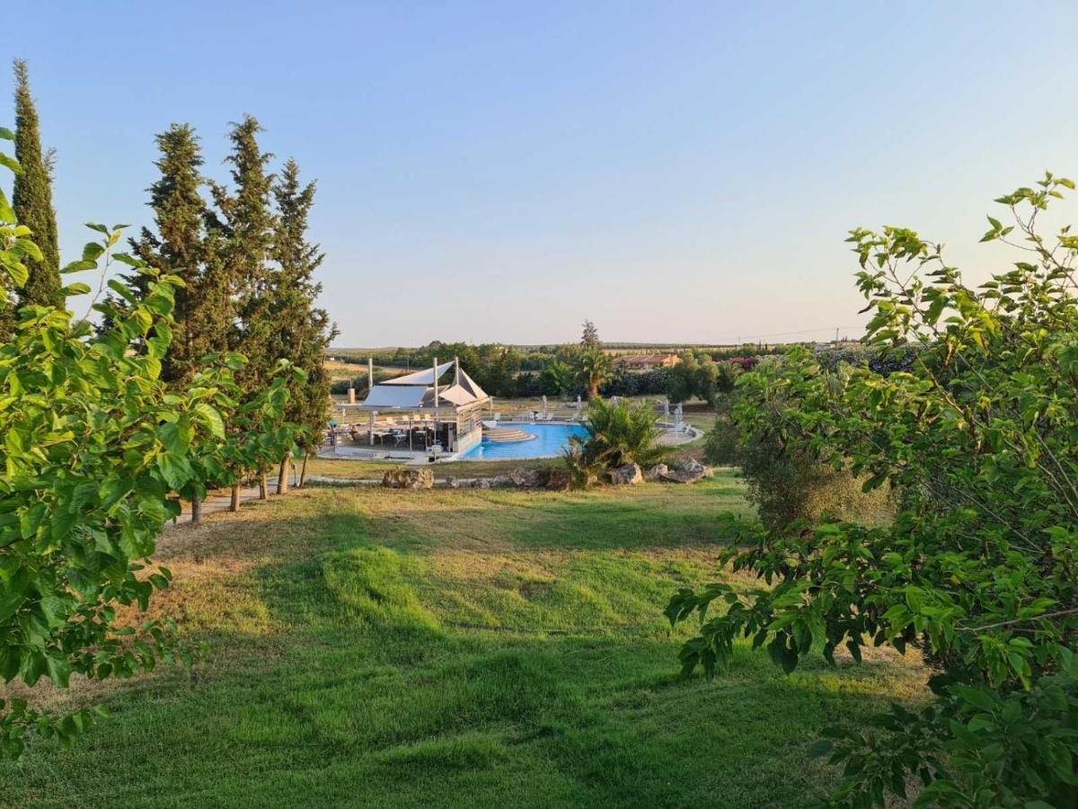 Janis Seaview Villa Néa Fókaia Esterno foto